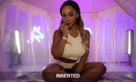 Inserted SFW: Just $5.00!